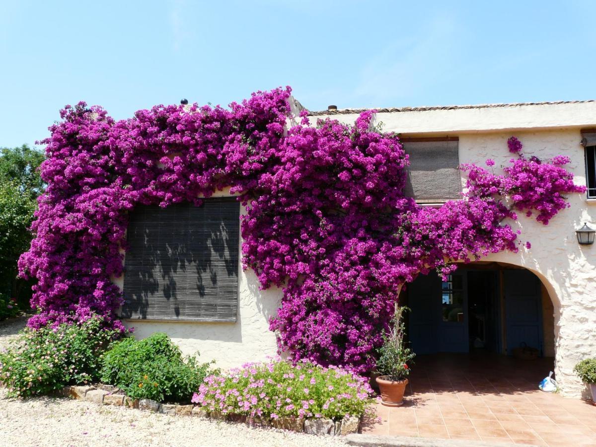 Casa Rural Con Encanto, 4 Hab Con 4 Banos Completos En Suite, Piscina Y Campo Privado Pedreguer Extérieur photo